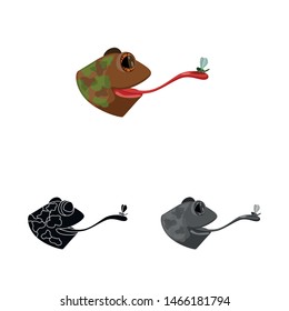 Vector illustration of toad and head symbol. Collection of toad and stickyl vector icon for stock.