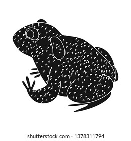 Vector illustration of toad and tropical sign. Collection of toad and ecology stock vector illustration.