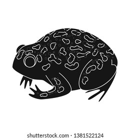 Vector illustration of toad and tropical sign. Set of toad and green stock symbol for web.