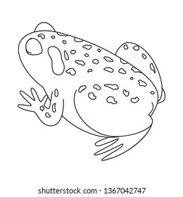 Vector illustration of toad and tropical symbol. Collection of toad and ecology vector icon for stock.