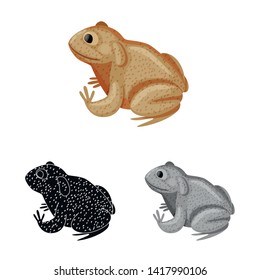 Vector illustration of toad and tropical symbol. Collection of toad and ecology stock symbol for web.