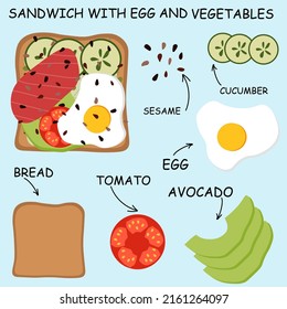 vector illustration of toast with egg and vegetables. Illustrated composition of sandwich toast. Avocado, egg, cucumber, tomato