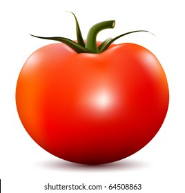 Vector illustration of tomato