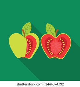 Vector illustration of tomato and apple icon. Set of tomato and fruit stock vector illustration.