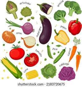 Vector illustration of tomato, broccoli, eggplant, pea, carrot, pepper, cabbage, corn, onion. Set of different vegetables in a flat style on a white background.