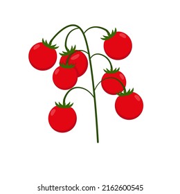 Vector illustration of tomato cherry isolated on white background in flat style