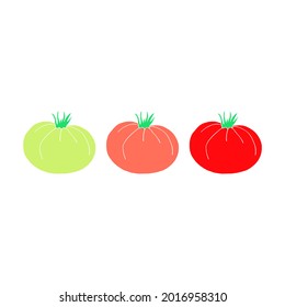 Ilustración vectorial con tomate de diferente maduración sobre fondo blanco.