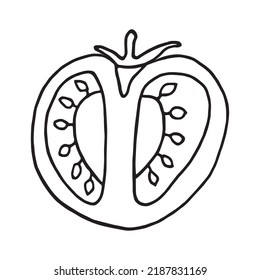 Vector illustration of tomato in doodle style