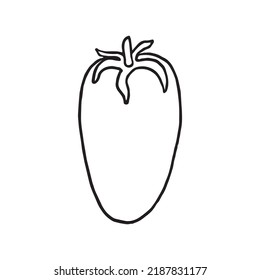 Vector illustration of tomato in doodle style