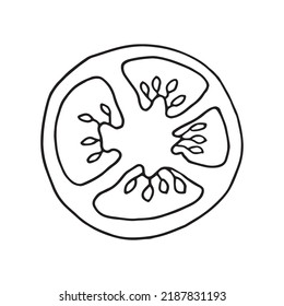 Ilustración vectorial del tomate al estilo del doodle