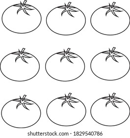 vector illustration tomato fruit art