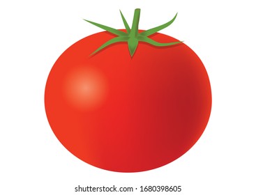 Vector Illustration of Tomato isolated on white background