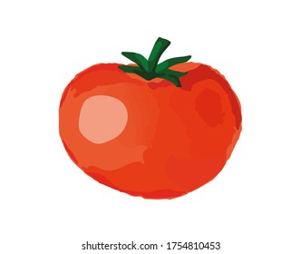 Ilustración vectorial del tomate aislado en blanco