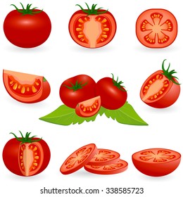 Vector illustration of tomato isolated on white