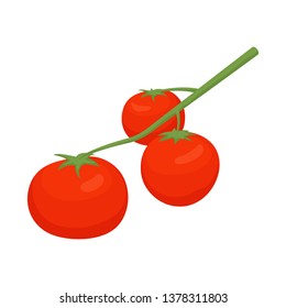 Vector illustration of tomato and kitchen icon. Set of tomato and vegetarian stock vector illustration.