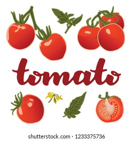 vector illustration of tomato and leaf design isolated with lettering tomato background white and vegetable EPS10