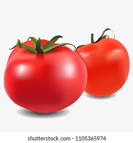 Vector illustration of a tomato. On on a white background.