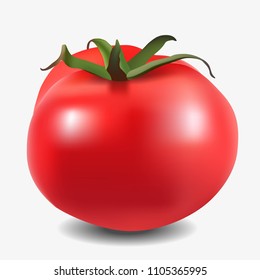 Vector illustration of a tomato. On on a white background.