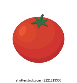 Vector illustration of tomato on white background.