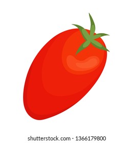 Vector illustration of tomato and red sign. Collection of tomato and eating stock vector illustration.
