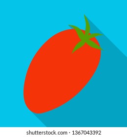 Vector illustration of tomato and red sign. Set of tomato and eating stock symbol for web.