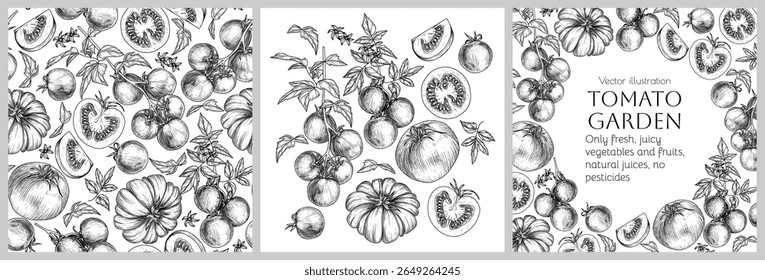 Vector illustration of tomato. Set of seamless pattern, collection of elements and frame with vegetable. Decoration for packaging, labels, brochures