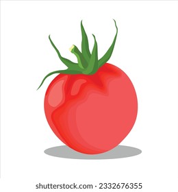 Vector illustration of tomato set. Whole and half cut tomatoes isolated on white background. Vector cartoon illustration. Fresh red vegetable, vegetarian, vegan healthy organic icon food