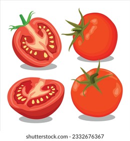 Vector illustration of tomato set. Whole and half cut tomatoes isolated on white background. Vector cartoon illustration. Fresh red vegetable, vegetarian, vegan healthy organic icon food