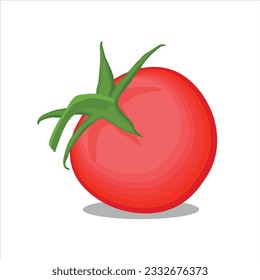Vector illustration of tomato set. Whole and half cut tomatoes isolated on white background. Vector cartoon illustration. Fresh red vegetable, vegetarian, vegan healthy organic icon food