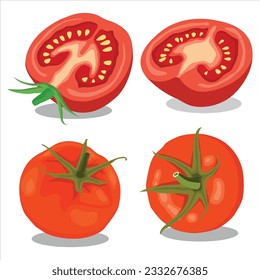 Vector illustration of tomato set. Whole and half cut tomatoes isolated on white background. Vector cartoon illustration. Fresh red vegetable, vegetarian, vegan healthy organic icon food