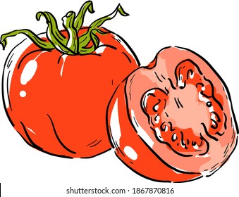 Vector illustration with tomato, tomatoes and slice of tomato