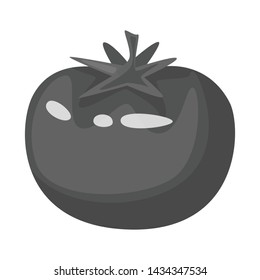 Vector illustration of tomato and vegetable logo. Set of tomato and farm vector icon for stock.