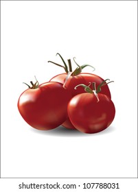 Vector illustration. Tomatoes.