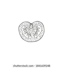 Vector illustration of tomatoes drawn by hand. Isolate the tomatoes and cut them in half. Vegetable engraving illustration style. Detailed sketch of vegetarian food. Products on the agricultural