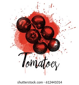 Vector illustration, tomatoes. Hand drawn graphics