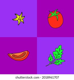 Ilustración vectorial con tomates en cuadrados aislados.