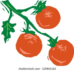 Vector illustration of tomatoes on vine