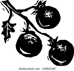 Vector illustration of tomatoes on vine