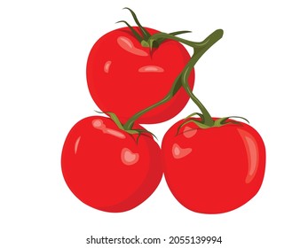 トマト 断面 のイラスト素材 画像 ベクター画像 Shutterstock