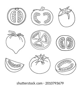 Vector illustration with tomatoes and tomato slices on a white background. Outline drawing.