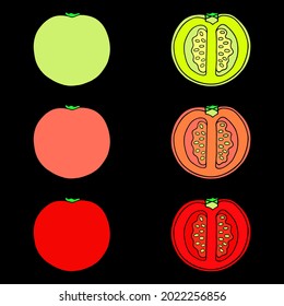 Vector illustration with tomatoes and tomato slices on a black background.