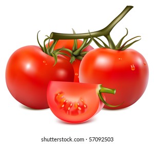 Vektorgrafik. Tomaten mit Wassertropfen.