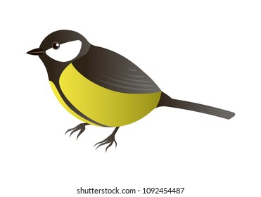 Vector illustration of a tomtit isolated on white.