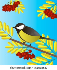 Vector illustration of a tomtit and rowan branches isolated on a blue background