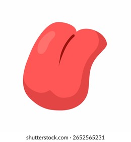 vector illustration of tongue anatomy theme with white background