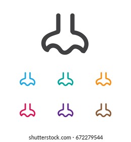 Vector Illustration Of Tonsorial Artist Symbol On Nose Icon. Premium Quality Isolated Nasal Element In Trendy Flat Style.