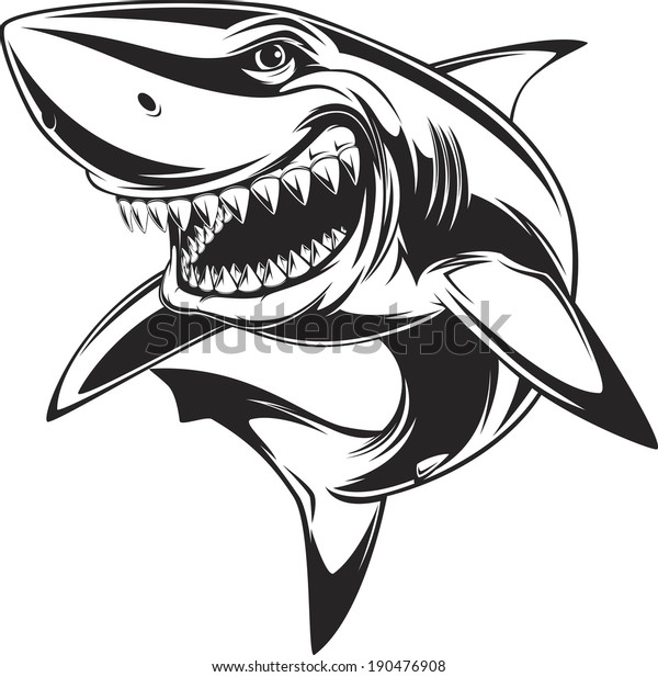 Vector Illustration Toothy White Shark Stock Vector (Royalty Free ...