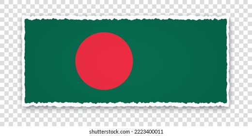 vector illustration of torn paper banner with flag of Bangladesh on transparent background