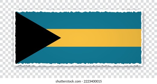 Vektorgrafik von zerrissenem Papierbanner mit Flagge auf transparentem Hintergrund