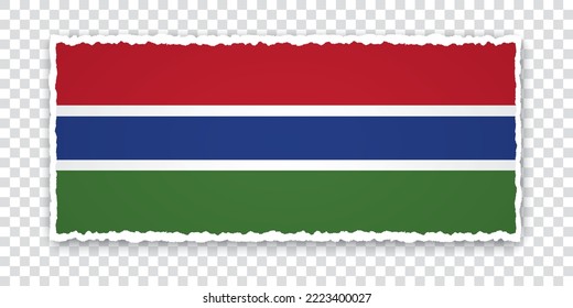 vector illustration of torn paper banner with flag of Gambia on transparent background